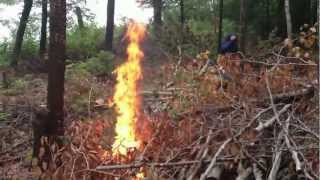 Mainers make a flaming spear to bomb a hornets nest [upl. by Priscella]