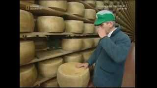 Making of Parmigiano Reggiano [upl. by Hsirk]