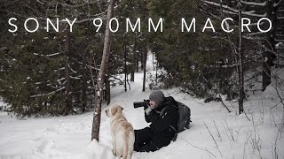 SNOWY HIKE with the A7III  Sony 90mm F28 MACRO [upl. by Trebled]