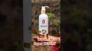 WOW🤩 Super RUSULT🔥Best Cocounut Milk Shampoo For All Hair And Scalp Type shampoo shorts shiny [upl. by Hamid576]