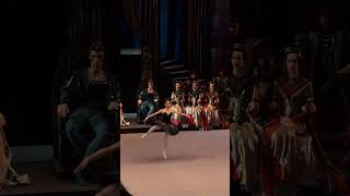 большойтеатр fuetechnique балет ballet bolshoitheatre theswanlake annanikulina [upl. by Eita]