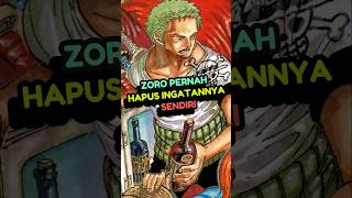 Zoro Hapus Ingatannya anime reviewanime onepiece [upl. by Ankeny443]