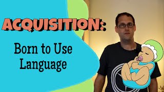 Language Acquisition and Universal Grammar [upl. by Ahsratal989]