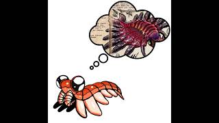 Anomalocaris my beloved [upl. by Elamaj]