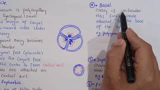 placentation and its types in plants  class bsc Botany [upl. by Anauqahc]