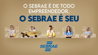 O Sebrae é Seu [upl. by Shelburne]