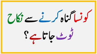 Islamic Common Sense Paheliyan in Urdu  Islamic Question and Answer  General Knowledge Quiz  Live [upl. by Shewchuk]