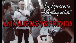 ANIMALISTAS vs PROVIDA [upl. by Meikah]