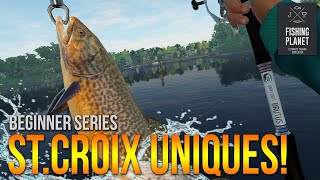 Lvl42 GIANT Brown amp Tiger Trout  1 BIG Kitty at St Croix  Fishing Planet [upl. by Crispas]