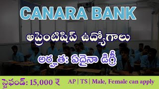 కెనరా బ్యాంకులో అప్రెంటిషిప్ ఉద్యోగాలు  Canara bank apprenticeship jobs  latest Bank jobs  jobs [upl. by Ylrrad756]