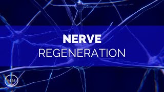 Nerve Regeneration  Repair Nerve Connections  Activate Growth  Binaural Beats  Meditation Music [upl. by Ailecra422]