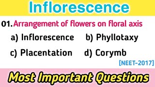 Inflorescence MCQs  Plant Morphology MCQ Frequently asked questionsbiology mcqs [upl. by Alyled490]