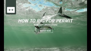 HOW TO RIG FOR PERMIT WHOLE ENCHILADA VER [upl. by Nanam]