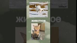 Как я вижу подругу vs как подруга видит меня😇  музыка для души танцуй со мной🥰 арианна music [upl. by Killarney]