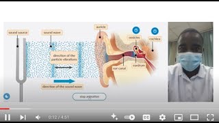 Hearing Process Simulation  Science Experiment  Virtual Lab Simulation [upl. by Yelsnya941]