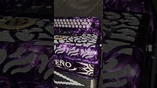 acordeon norteño by gabbanelli accordions 3 registros el corrido de bigshow shorts [upl. by Llatsyrk]