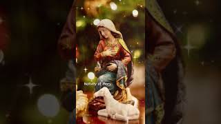 Nativity of Mary Feast Day Sept 8th Pray for us [upl. by Aneertak]