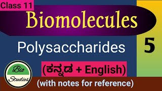 Class 11  Biomolecules  Polysaccharides  5 [upl. by Enrica360]