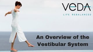 An Overview of the Vestibular System [upl. by Releehw]