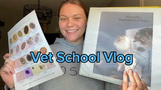 Vet School Vlog  2nd year vet student [upl. by Airdnekal449]