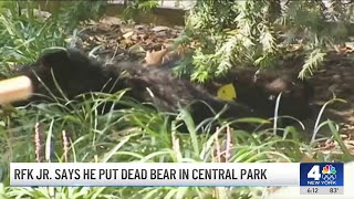 RFK Jr says he put dead bear in Central Park  NBC New York [upl. by Alrep]