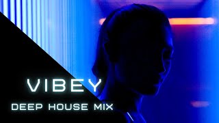 Vibey Deep House Mix [upl. by Ayanat206]