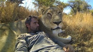 GoPro Lions  The New Endangered Species [upl. by Leffen]