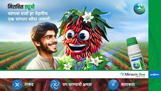 Syngenta  Miravis Duo  Chilli  Motion Poster  Marathi [upl. by Onitnatsnoc]