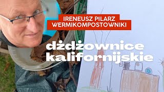 Pierwszy wermikompostownik z palet przygotowany do zimy [upl. by Ainoloppa]