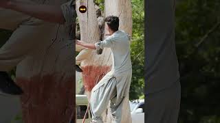 Old Man Climbing Tree Prank Watch Till End [upl. by Giesser]