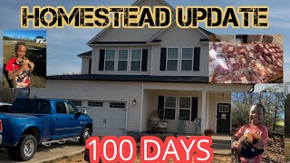 The First 100 Days Building Our Homestead Dream [upl. by Nyrhtac]