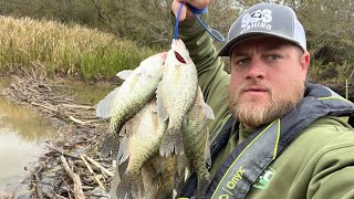 Ill Be DAM 🦫 Creek CRAPPIE Fishing With Jig amp Bobber‼️CRAPPIE Fishing 2024‼️ [upl. by Strepphon702]