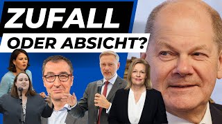 ⚠️ MANIPULIERT SCHOLZ DIE WAHLEN AfD fordert Verfassungsklage ⚠️ [upl. by Yrebmik]