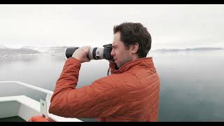 Polar Bears of Spitsbergen [upl. by Ashford]