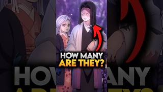 How Many Demons Slayer are There Demon Slayer Explained demonslayer shorts [upl. by Elcin]