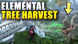 Throne and Liberty Elemental Tree Harvest Purelight Hill Quest Guide [upl. by Ablem]