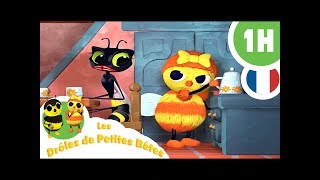 DRÔLES DE PETITES BÊTES  1 Heure  Compilation 03 [upl. by Kcirdorb]