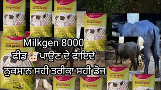 MILKGEN 8000 CARGILL FEED PRICEਫੀਡ ਪਾਉਣ🐮 ਦੇ ਫਾਇਦੇ ਨੁਕਸਾਨ ਸਹੀ ਤਰੀਕਾमिल्कजेन 8000  buffalo feed👍 [upl. by Lleinnad]