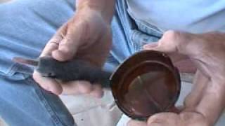 Flintknapping  Beginners part 4 [upl. by Adlesirhc]