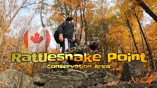 Witness the Spectacular Fall Foliage at Rattle Snake Conservation Area  Milton Ontario🍁 [upl. by Adieno]