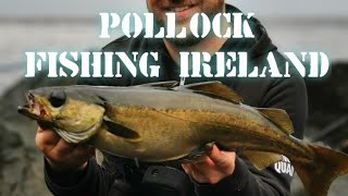 Lure fishing for Pollock off the rocks in Ireland [upl. by Brietta]