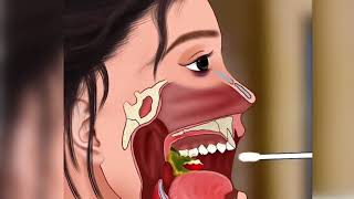 asmr mouth mergent removed animation  deep cleaning animation for mouths YouTube long animation [upl. by Noemad972]