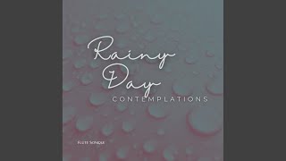 Rainy Day Contemplations [upl. by Tivad]