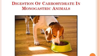 Digestion Of Carbohydrate In Monogastric AnimalsVeterinaryPhysiology [upl. by Nagram]