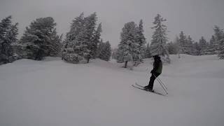 Piste 1 black to 1 red  Kaltenbach Hochzillertal Austria [upl. by Nicolette864]