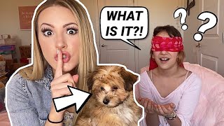 Surprising Kalli with a PUPPY 🐶 MUST SEE [upl. by Aicilaanna328]