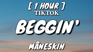 Måneskin  Beggin Lyrics 1 Hour Loop TikTok Song [upl. by Haik739]