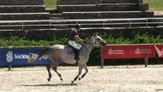 ♥ STivale de Rosyl jumping horse by Laurier de Here [upl. by Obala888]