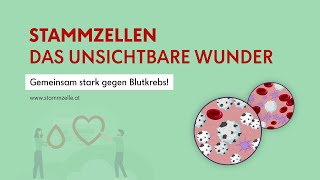 Stammzellen – das unsichtbare Wunder  Kurzfilm [upl. by Ynoep793]