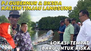 AKHIRNYA RISKA KEMBALI KEBONTANG ❓TEMPAT BARU BUAYA RISKA SUDAH DITINJAU PJ GUBERNUR amp BKSDA KALTIM [upl. by Yddor247]